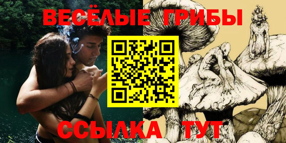 Псилоцибиновые грибы мицелий Анапа